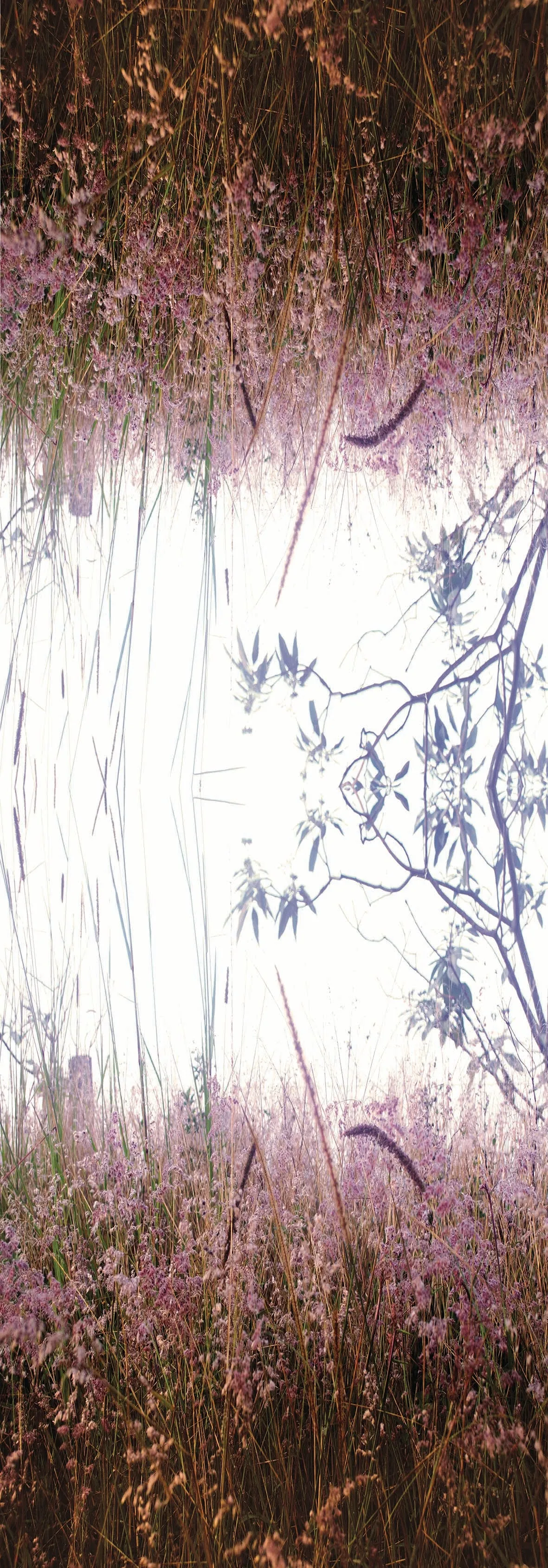 FLOWERING GRASSES  CASHMERE & MODAL SCARF